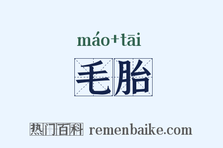 毛胎是什么意思的图片